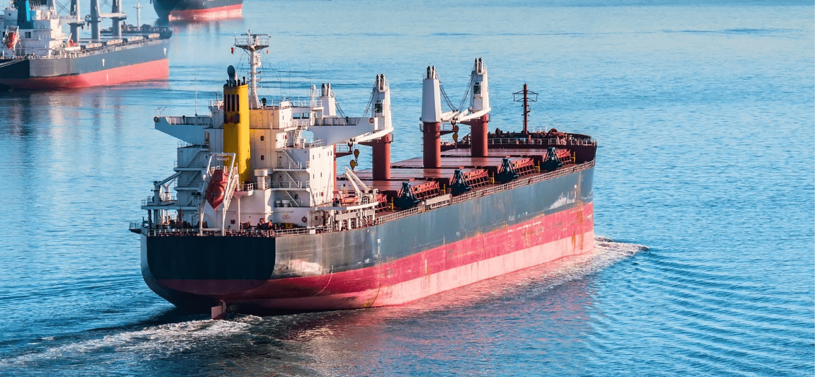 Bulk and Break Bulk
